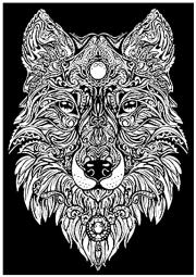 Opakowanie Kolorowanka Welwetowa 29,7x21 Lupus