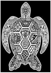 Opakowanie Kolorowanka Welwetowa 29,7x21 Żółw morski