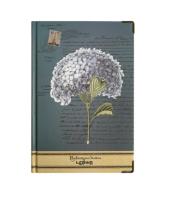 Opakowanie Notes A5/96K Hortensja