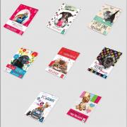 Opakowanie Notes A7 Best Friend