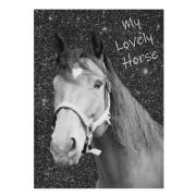 Pamiętnik Horse PP19KO-3660 PASO. Wydawca: Paso. Dadada.pl Opakowanie Pamiętnik Horse PP19KO-3660 PASO