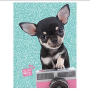 Pamiętnik Studio Pets PTE-3660 PASO. Wydawca: Paso. Dadada.pl Opakowanie Pamiętnik Studio Pets PTE-3660 PASO