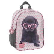 Plecak przedszkolny Studio Pets PTB-303 PASO. Wydawca: Paso. Dadada.pl Opakowanie Plecak przedszkolny Studio Pets PTB-303 PASO