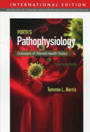 Porths Pathophysiology. Autor: Norris Tommie L.. Dadada.pl Okładka książki Porths Pathophysiology