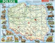 Okładka książki Puzzle ramkowe Polska fizyczna
