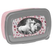 Opakowanie Śniadaniówka Horse PP19HS-3022 PASO