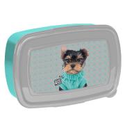 Śniadaniówka Studio Pets PTH-3022 PASO. Wydawca: Paso. Dadada.pl Opakowanie Śniadaniówka Studio Pets PTH-3022 PASO