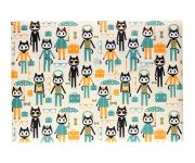 Opakowanie Teczka Foldermate CK-32201 szara