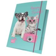 Teczka z gumką A4 błękitno-różowa Happy Friends 15 sztuk. Wydawca: Paso. Dadada.pl Opakowanie Teczka z gumką A4 błękitno-różowa Happy Friends 15 sztuk