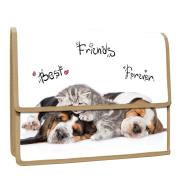 Opakowanie Teczka z klapką na rzepy A4 PP Animals