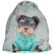 Worek na buty Studio Pets PTH-712 PASO. Wydawca: Paso. Dadada.pl Opakowanie Worek na buty Studio Pets PTH-712 PASO