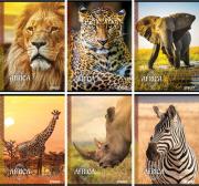 Opakowanie Zeszyt A4 w kratkę 54 kartki Street Africa 10 sztuk mix