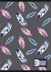 Opakowanie Zeszyt A5 St.Right 60 kartek w kratkę mix4 10 sztuk