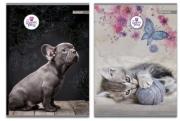 Opakowanie Zeszyt A5 w linie 60 kartek Sweet Pets 5 sztuk