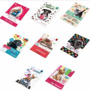 Opakowanie Zeszyt  A5 16k wąskie linie kolorowe  Best Friend