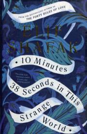 10 Minutes 38 Seconds in this Strange World. Autor: Elif Shafak. Dadada.pl Okładka książki 10 Minutes 38 Seconds in this Strange World