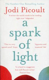 A Spark of Light. Autor: Picoult Jodi. Dadada.pl Okładka książki A Spark of Light