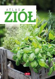 ATLAS ZIÓŁ. Autor: Opracowanie zbiorowe. Dadada.pl Okładka książki ATLAS ZIÓŁ