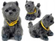 Opakowanie Interaktywny Kotek