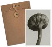 Opakowanie Karnet BF5-103 Jastrun właściwy