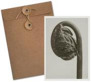 Opakowanie Karnet BF5-110 Długosz królewski