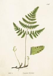 Opakowanie Karnet ST199 B6 + koperta Zachyłka