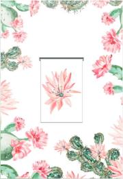 Opakowanie Karnet z zakładką magnetyczną 12x18 cm + koperta Kaktus