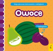 Moje pierwsze kolorowanki z naklejkami. Kształty. Autor: Natalia Berlik. Dadada.pl Okładka książki Moje pierwsze kolorowanki z naklejkami. Kształty