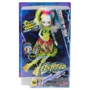 Opakowanie Monster High - Zelektryzowana Frankie