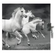 Opakowanie Pamiętnik z kłódką Horse PP19HS-3640 PASO
