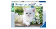 Puzzle 1500 Biały kotek. Wydawca: Ravensburger. Dadada.pl Opakowanie Puzzle 1500 Biały kotek