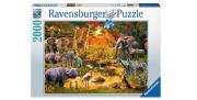Puzzle 2000 Spotkanie dzikich zwierząt. Wydawca: Ravensburger. Dadada.pl Opakowanie Puzzle 2000 Spotkanie dzikich zwierząt