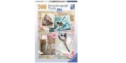 Opakowanie Puzzle 500 Baletnica