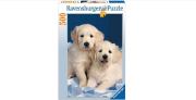 Opakowanie Puzzle 500 Szczenięta Golden Retriever