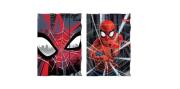 Opakowanie Teczka z gumką A4 Spiderman 2 wzory
