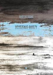 Okładka książki Uciszenie burzy