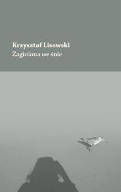 Okładka książki Zaginiona we śnie