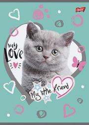 Opakowanie Zeszyt A5 My Little Friend 32 kartki w kratkę 15 sztuk