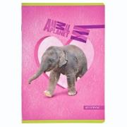 Opakowanie Zeszyt A5/16K =  Animal Planet Cute