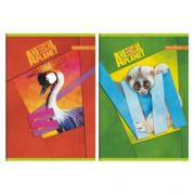 Zdjęcie produktu Zeszyt A5/16K kratka Animal Planet (20szt)