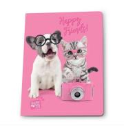 Opakowanie Zeszyt A5/16K kratka Studio Pets (5szt) PASO