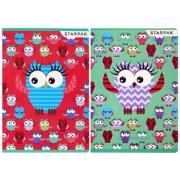 Opakowanie Zeszyt A5/32K kratka sowy (10szt)