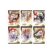 Zeszyt A5/54K linia Safari (10szt) STREET. Wydawca: Eurocom. Dadada.pl Opakowanie Zeszyt A5/54K linia Safari (10szt) STREET