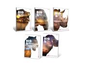 Opakowanie Zeszyt A5/80K kratka Big 5 (5szt)