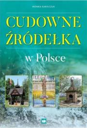 Okładka książki Cudowne źródełka w Polsce