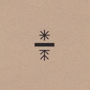 Kwiaty i korzenie CD. Autor: Bitamina. Dadada.pl Okładka książki Kwiaty i korzenie CD