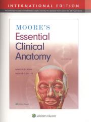 Okładka książki Moore's Essential Clinical Anatomy Sixth edition, International Edition