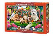 Opakowanie Puzzle 1000 Pets in the Park CASTOR