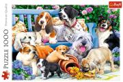 Puzzle 1000 Psy w ogrodzie TREFL. Wydawca: Trefl. Dadada.pl Opakowanie Puzzle 1000 Psy w ogrodzie TREFL