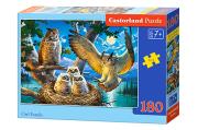 Opakowanie Puzzle 180 Owl Family CASTOR